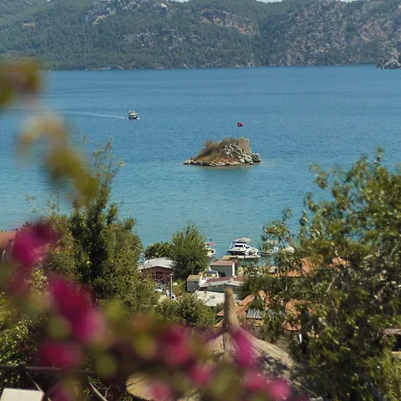 ホテル Boho Garden