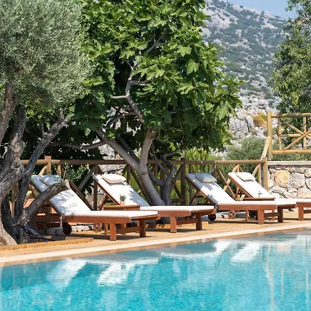 Boho Garden Hotel *