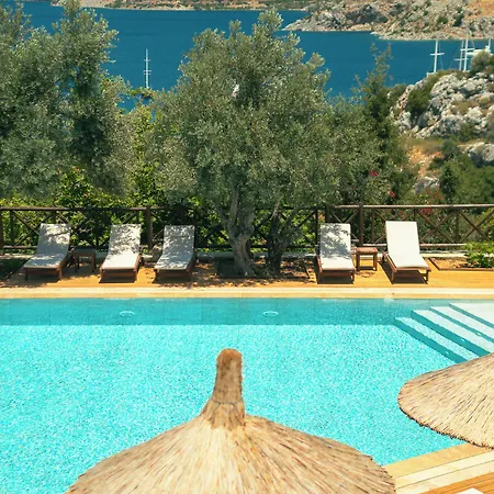 Hotel Boho Garden
