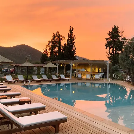 Hotel Boho Garden *